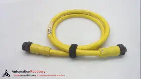 889nf4afnm1 Allen-bradley 889n F4afnm-1 Series B Mini Cordset 4 Pole 1 Meter #331168