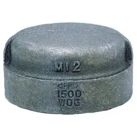0318901402 Anvil Cap 2 Inch Pipe Fnpt Malleable Iron Class 3000