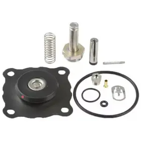 302280-e Asco 302280e Rebuild Kit For 8210