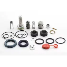 302711 Asco Valve Rebuild Kit