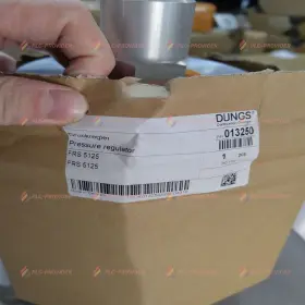 Frs5125 Dungs New Sealed Fast Shipping