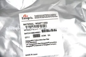Wg2ft1ss2 Entegris One Brand New Gas Filter