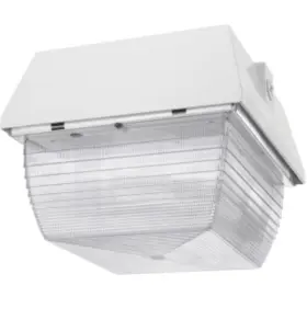 Van3hh50qtw Rab Lighting 9 X White 50w Mh Quart Vandal Proof Light