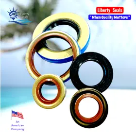 037061vm-bx Tcm Oil Seal 75019385