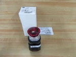 Allen Bradley 800T-PM16R Button 800TPM16R W/40171-002-01 & 800T-XA. Fixed Price $203.77.