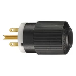 Bryant BRY5666NP Blade PLUG,BLACK/WHITE,2.0 HP,250VAC 49YY54. Fixed Price $17.85.