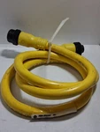 Allen Bradley 889N-F4AFNM-1 Cordset Cable Pin 10A 600V Series. Fixed Price $19.99.