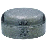 Anvil 0318901402 Cap, 2" Pipe, Fnpt, Malleable Iron, Class 3000. Fixed Price $56.29.