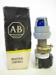 New Allen Bradley 800H-PPB16 Ser. Illuminated Pilot Light Push Button. Fixed Price $99.99.