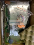 One New Siemens Layer Display Converter Card E3I040 (fm). Fixed Price $1313.75.