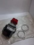 Allen Bradley 800T-P16R Pilot Light Ill Red Xfmr 120VAC Series Nnb. Fixed Price $27.99.