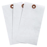 Brady 102038 Blank Shipping TAG,TYVEK,COLORED,PK1000 35RZ52. Fixed Price $441.28.