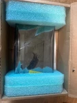 Allen Bradley Cat- 2711P-RN6 Panel View Plus Communication Module DH+/RIO/DH485. Fixed Price $675.00.