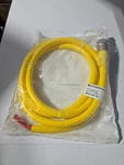 Murrelektronik Actuator & Sensor Cordset, Specifically Model MUR-5FP-6A. Fixed Price $50.34.