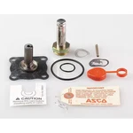 Asco 302308 Valve Rebuild Kit, With Instructions. Fixed Price $220.99.