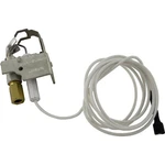 Pilot, Raypak R185A/R185B, Nat., Iid. Fixed Price $136.50.