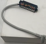 Allen-bradley Pre-wired Cable For 1769-IQ16 And -IQ16F Modules 1492-CAB002B69. Fixed Price $30.00.