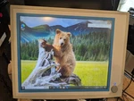 Advantech IPPC-6192A Industrial Panel Computer I3-4330 4GB Tested. Fixed Price $359.00.