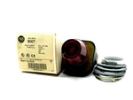 New Allen Bradley 800T-QH24R Pushbutton Pilot Light 800TQH24R. Fixed Price $95.00.