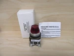 Allen Bradley 800T-Q24R Pilot Light 800TQ24R W/lens W/800T-BLANK. Fixed Price $45.77.