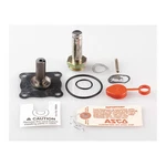Asco 302308 Valve Rebuild Kit,with Instructions 1AKY5. Fixed Price $250.47.