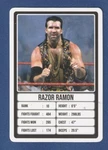 Scott Hall 2021 Aamango Wwe Trump Game Card 90S Wrestling Razor Ramon 1ST Edtn*. Fixed Price $7.99.